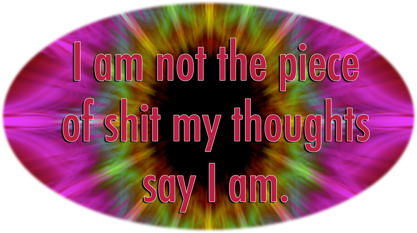 Not a Piece of Shit - Unisex t-shirt